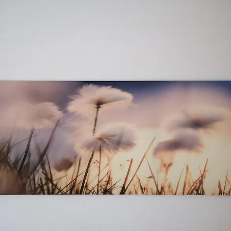 公寓 Gina 因斯布鲁克