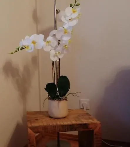 Διαμέρισμα Gina