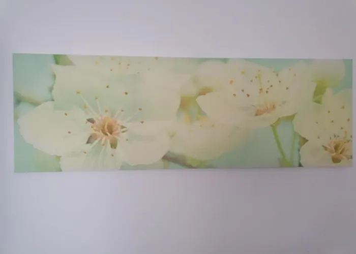 Gina * Інсбрук